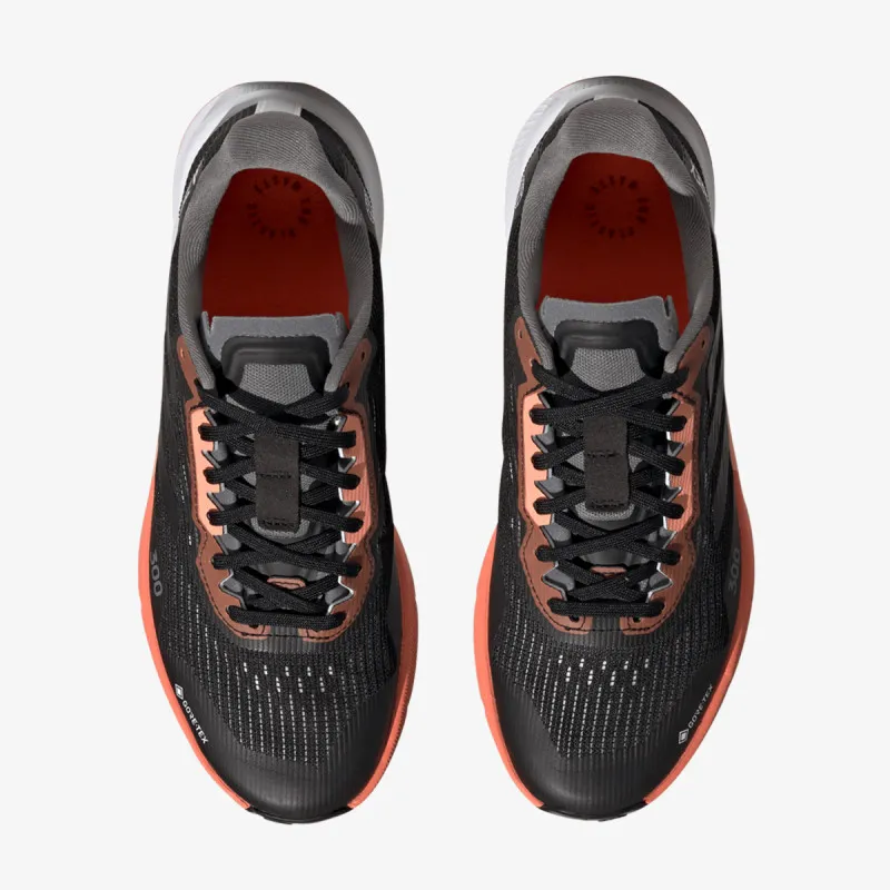 adidas TERREX AGRAVIC FLOW 2 GTX W